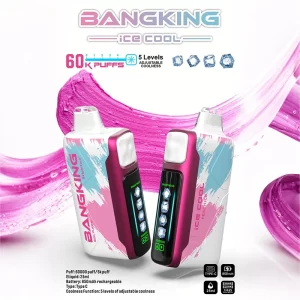 【12種口味】Bang King Ice Cool 60000口 一次性拋棄式 | 5檔可調節涼度