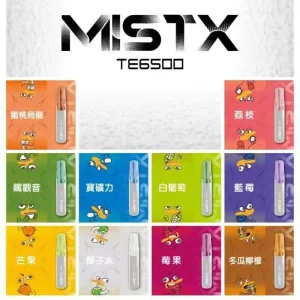【10種口味】鴨嘴獸MISTX TE6500口一次性 陶瓷芯升級 超長續航