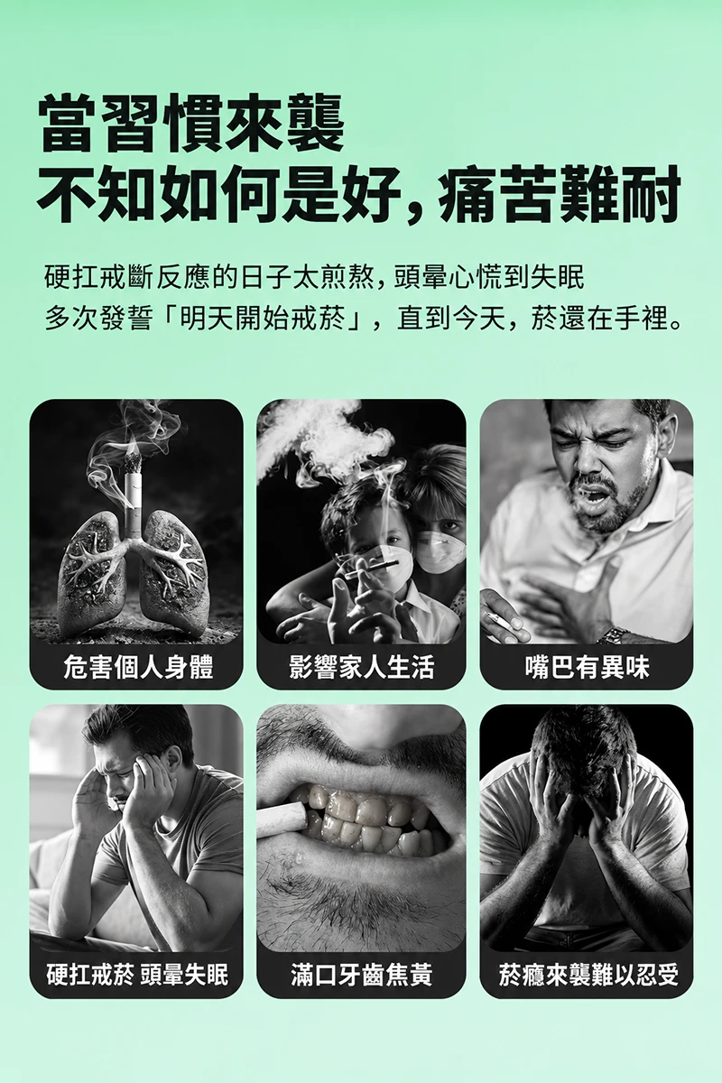 JELB淨力寶 果味吸棒